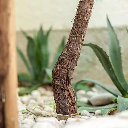 Placido Krk * Krk Town